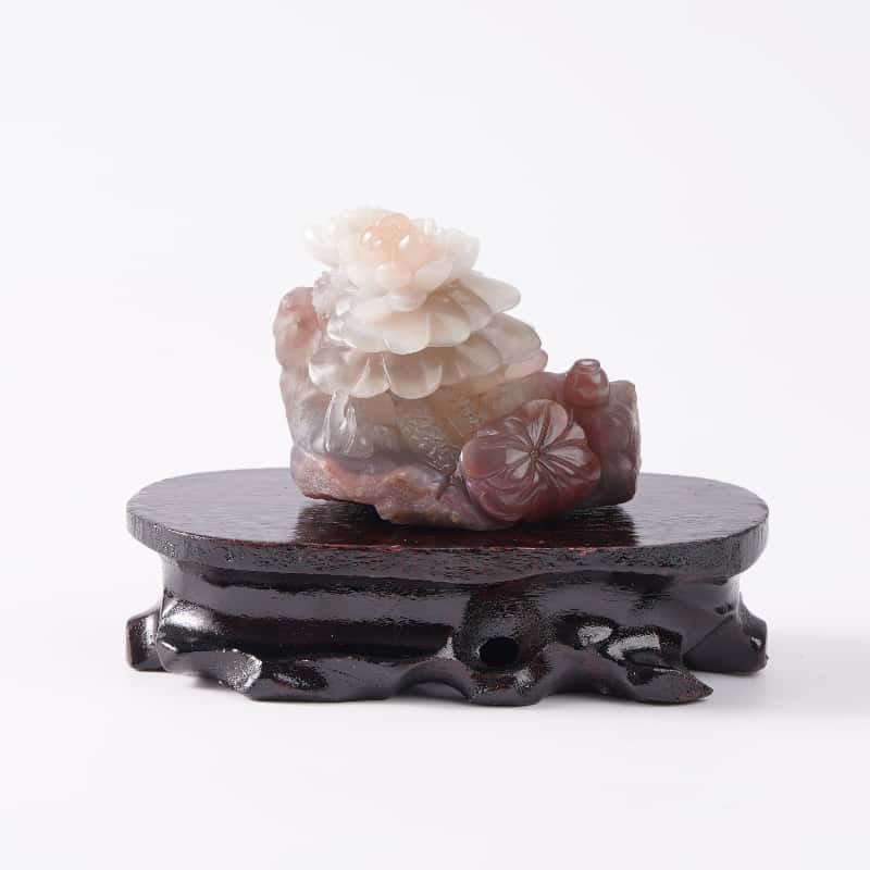 ��������Ϲ��������